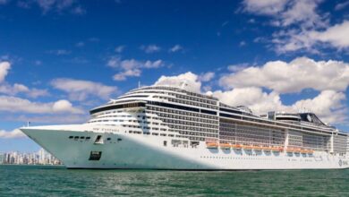 MSC Fantasia chega a Balneário Camboriú com mais de 3,6 mil passageiros neste sábado