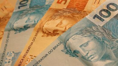 O que sua empresa precisa saber agora