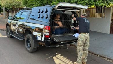 Operação Alvará Fantasma mira quadrilha do falso advogado: sete presos