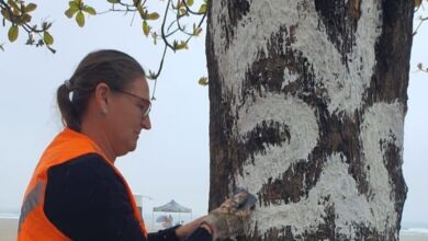 Lei aprovada em Balneário Camboriú paga recompensa a quem denunciar pichação