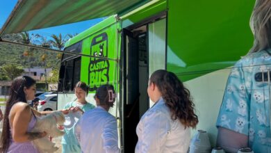 Balneário Camboriú tem últimas vagas para castração gratuita de cães e gatos