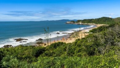 Após decisão judicial, prefeitura de BC afirma que naturismo segue proibido por decreto