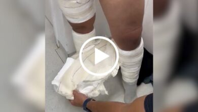 Suspeitos de enviar mulas com cocaína à Europa são presos em SC