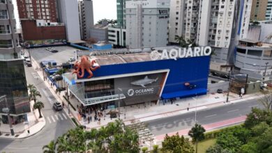 Aquário de Balneário Camboriú celebra o Dia da Educação Ambiental com 50% de desconto até quarta (28)