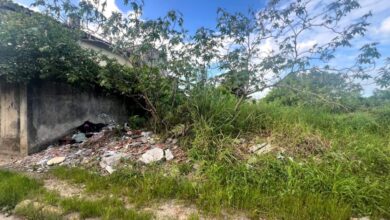 Camboriú estabelece prazo de 10 dias para limpeza de terrenos, construção de muros e adequação de calçadas