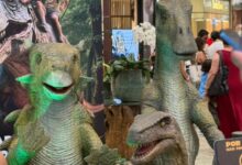 Parque Aventura Jurássica invade as férias do Balneário Shopping com atração gratuita