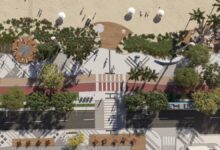 Nova orla de Balneário Camboriú terá 500 árvores já em março