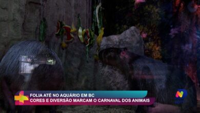 Carnaval no Aquário de BC tem cores e diversão