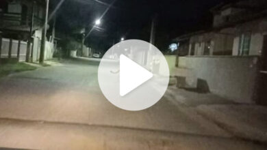 Moradora de SC que avistou onça parda diz: 'grande e linda'