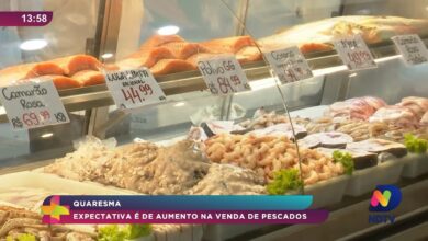 Quaresma impulsiona comércio de pescados em SC,