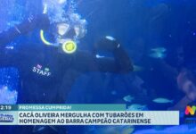 Promessa cumprida: Cacá mergulha com tubarões pelo Barra