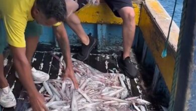 Joinville entra no top 5 e surpreende como uma das cidades mais limpas do Brasil