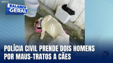 Dois homens são presos por maus-tratos a animais