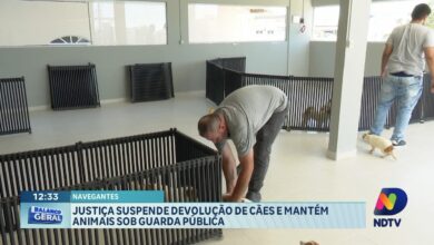 Justiça suspende devolução de cães e mantém guarda pública