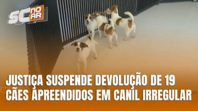 Justiça decide suspender devolução de cães apreendidos em canil irregular