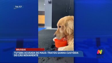 Resgate de cão em Brusque termina com adoção e novo começo
