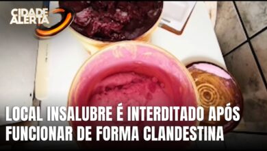 Fábrica clandestina de sorvetes é interditada em Ituporanga