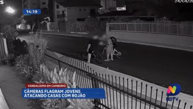 Giro policial: ataques de cães, vandalismo e prisão na região