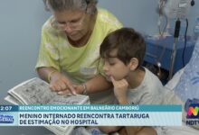 Menino internado reencontra tartaruga de estimação no hospital