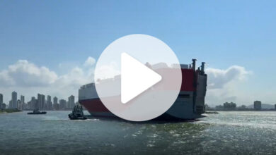 Porto de Itajaí recebe navio gigante com carga milionária de carros de luxo