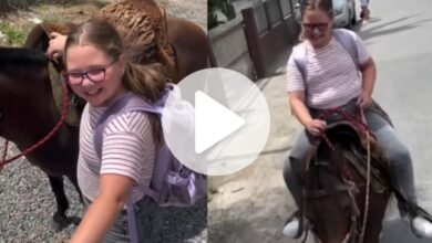 Pai busca filha a cavalo na escola em Navegantes e realiza sonho de menina de 10 anos