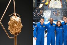 'parque da Nasa' em Balneário Camboriú tem pedaço real da Lua em exposição