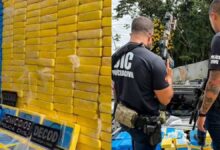 Polícia apreende meia tonelada de cocaína e causa prejuízo milionário ao PGC em SC