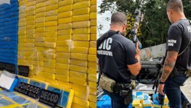 Polícia apreende meia tonelada de cocaína e causa prejuízo milionário ao PGC em SC