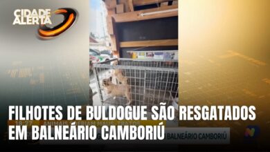 Polícia resgata filhotes em situação de maus-tratos em Balneário Camboriú