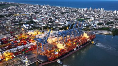 Descubra o que fez terminal portuário de Navegantes ser o mais 'bem-visto' do país