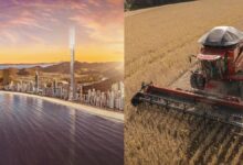 Barões do agronegócio representam 35% das vendas da construtora responsável pelo Senna Tower