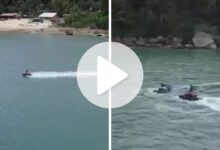 Vídeo flagra casal em moto aquática afastando cardume de mil tainhas em Balneário Camboriú