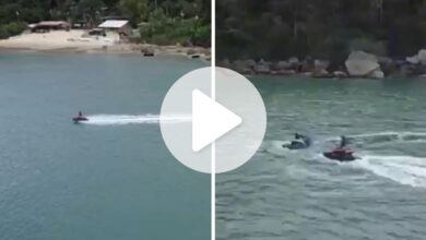 Vídeo flagra casal em moto aquática afastando cardume de mil tainhas em Balneário Camboriú