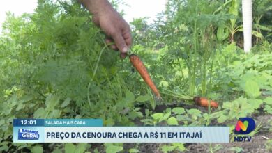 Preço da cenoura dispara e chega a R$ 11 em mercados de Itajaí
