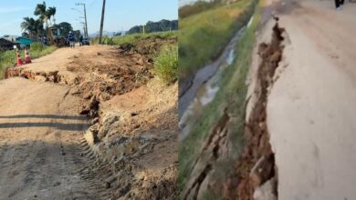 Estrada afunda e trava rota de produção agrícola em SC