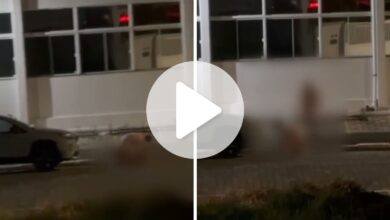 'Só consigo pensar no frio'