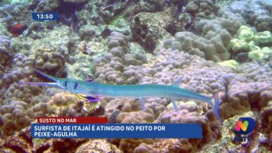 Giro de ocorrências destaca incêndio e ataque de peixe em Itajaí