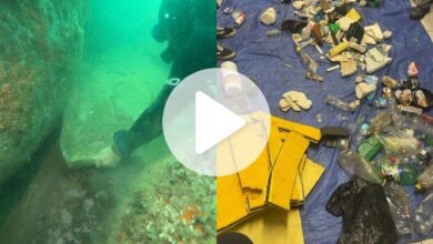 Mergulhadores tiram toneladas de lixo do fundo do mar em SC