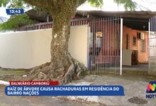 Estrutura de casa é afetada por raiz de árvore em Balneário Camboriú
