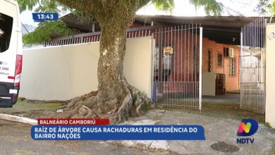 Estrutura de casa é afetada por raiz de árvore em Balneário Camboriú