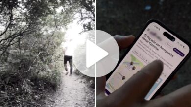 Restinga de praia de Navegantes vira ponto de 'encontros sexuais anônimos' de grupos de homens