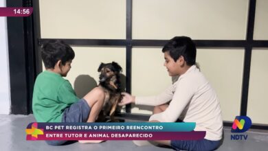 BC Pet registra primeiro reencontro entre tutor e animal perdido