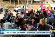 Balneário Camboriú promove castração gratuita para 124 animais