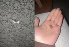 Disparos atingem residências em condomínio de Camboriú durante festa infantil