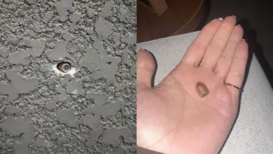 Disparos atingem residências em condomínio de Camboriú durante festa infantil