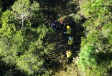 Jovem indígena desaparecido é encontrado morto em área de mata em Araquari