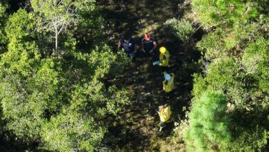 Jovem indígena desaparecido é encontrado morto em área de mata em Araquari
