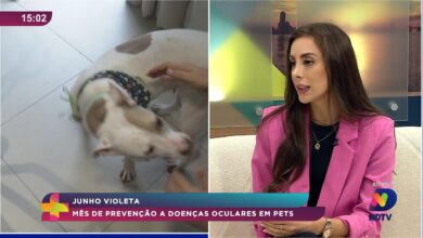 Junho Violeta alerta para prevenção de doenças oculares em pets