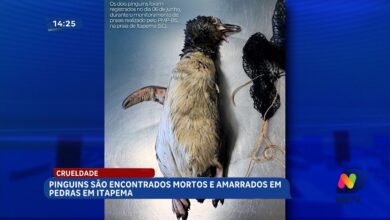 Polícia prende foragidos e caso de crueldade revolta moradores em SC