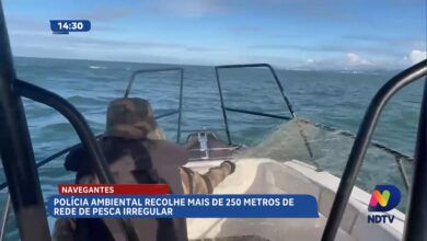 Denúncia de tartaruga presa leva à apreensão de rede de pesca